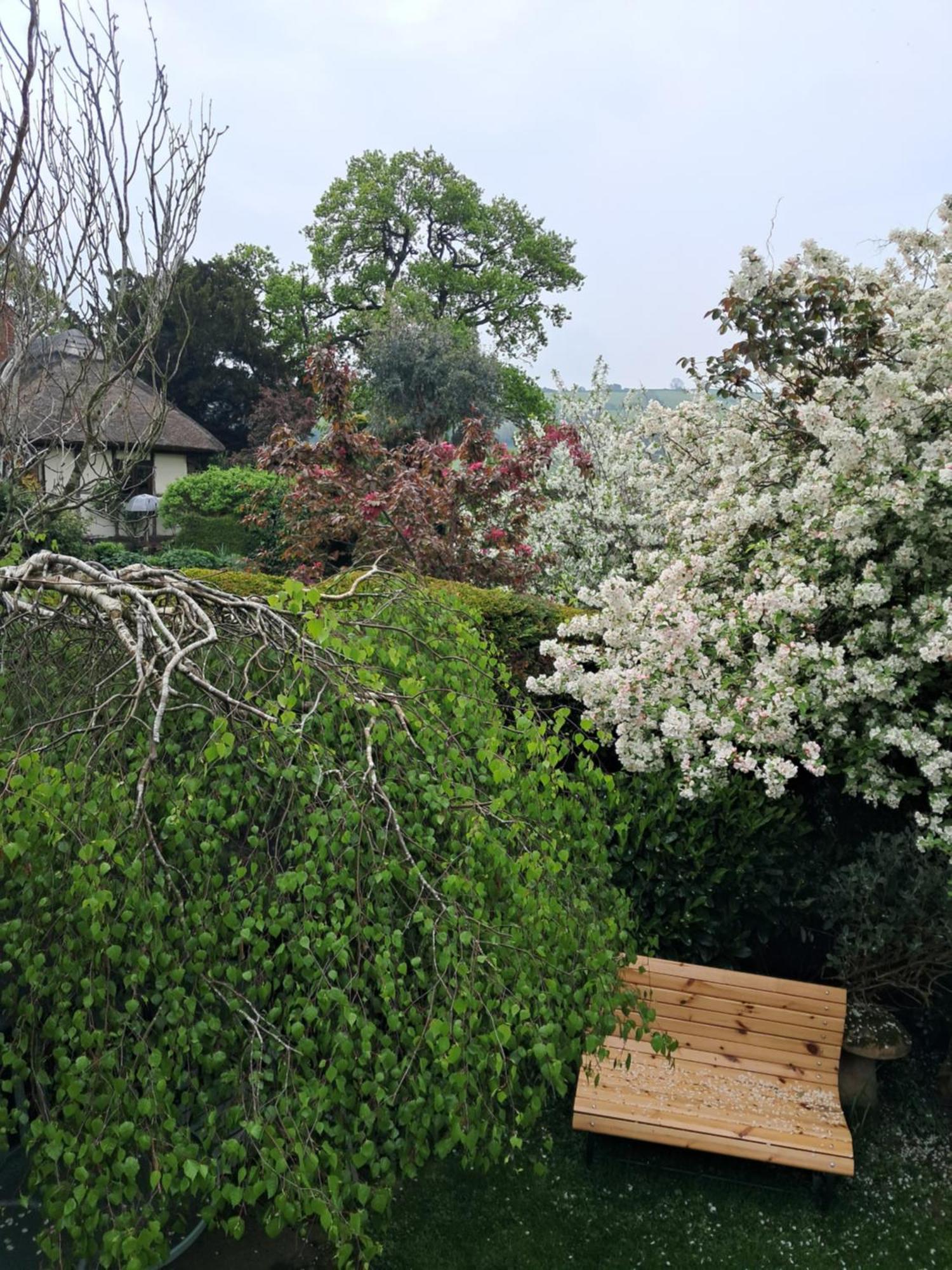 Parrs Cottage Wollaston  Екстериор снимка
